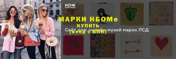 дмт Бородино