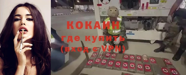 дмт Бородино