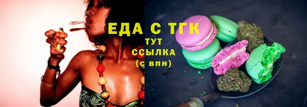 дмт Бородино