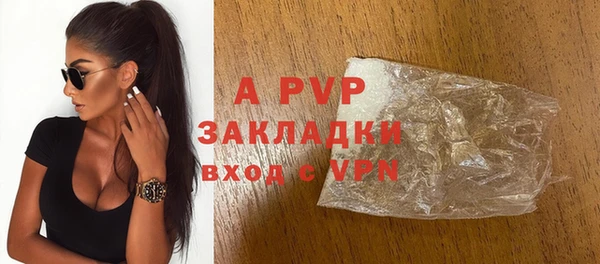 дмт Бородино