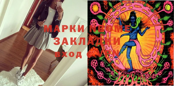 дмт Бородино