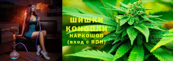хмурый Бронницы