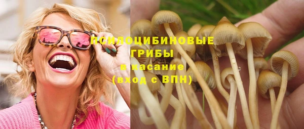 хмурый Бронницы