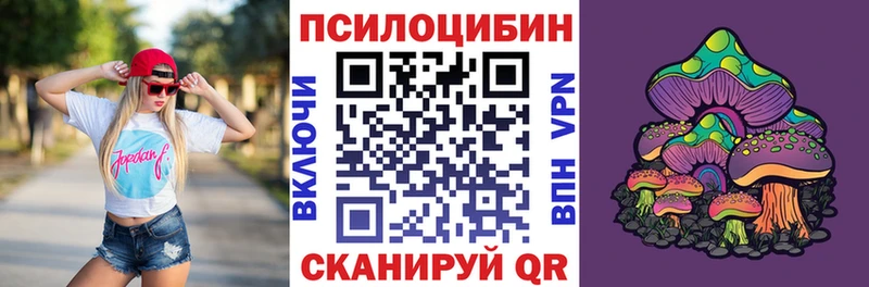 Купить  Опочка  Галлюциногенные грибы Psilocybe 